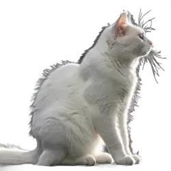 Imagen PNG para descargar